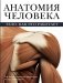 Анатомия человека фото книги маленькое 2