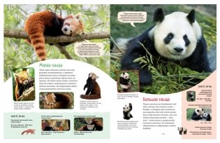 Яркий мир животных фото книги 5