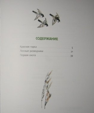 Лесные разведчики фото книги 2