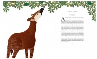 Книга исчезающих животных для неравнодушных сердец фото книги 5