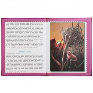 Мышонок Пик. Любимые книжки фото книги 3