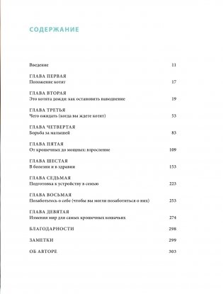 Крошки на ладошке. Трогательное руководство по спасению и заботе о котятах для самых неравнодушных фото книги 4