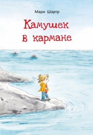 Камушек в кармане фото книги