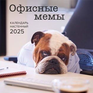 Офисные мемы. Календарь настенный на 2025 год (300х300 мм) фото книги