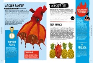 Мир вокруг тебя. Тайны мирового океана фото книги 4