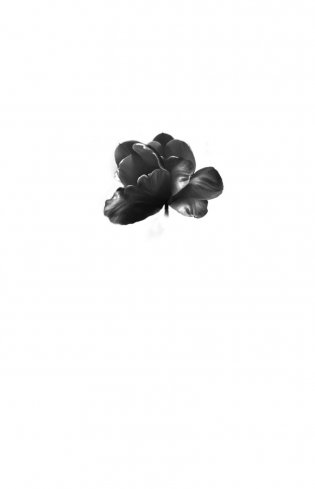 Прикосновение тьмы фото книги 2