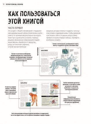 Первая помощь собакам. Осмотр, действия в экстренных ситуациях, аптечка первой помощи, социализация, дрессировка, груминг фото книги 6
