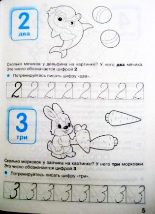 Дружок. Готовимся к школе. Занятия с детьми 5-6 лет фото книги 3