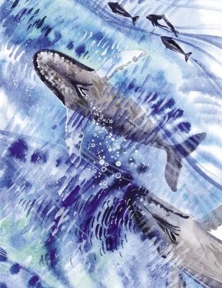 Маленькая косатка фото книги 7