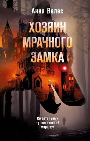 Хозяин мрачного замка фото книги