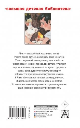 Детство Чика. Рассказы фото книги 7