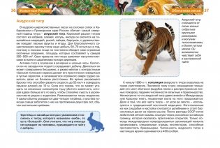 Животные России фото книги 3