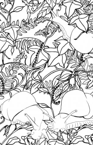 Загадочный лес. Мини-раскраска-антистресс для творчества и вдохновения фото книги 8