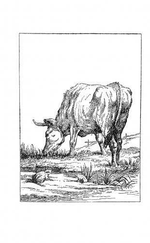 Басни фото книги 13