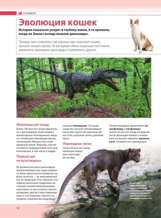 Кошки. Самая полная иллюстрированная энциклопедия фото книги 11