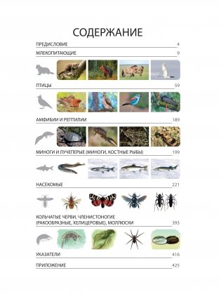Красная книга Республики Беларусь. Животные фото книги 2