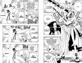 One Piece. Большой куш. Книга 7. Восстание фото книги 5
