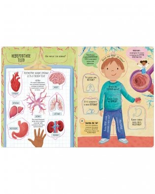 Большая книга с окошками. Тело человека фото книги 3