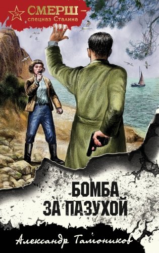 Бомба за пазухой фото книги