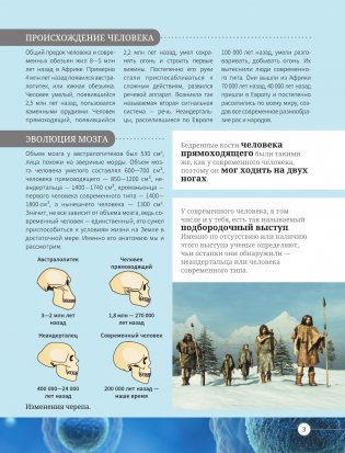 Всё о теле человека фото книги 3