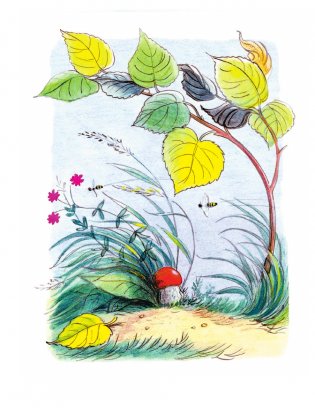 Кто сказал "мяу"? Сказки фото книги 4