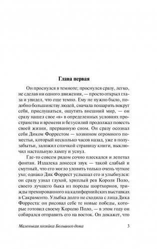 Маленькая хозяйка Большого дома фото книги 4
