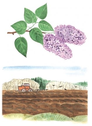 Игра-лото "Четыре сезона. Весна" фото книги 3