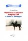 Фронтовые дороги маршалов в боях за Беларусь фото книги маленькое 3