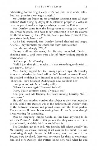 Harry Potter 1 and the Philosopher's Stone фото книги 6