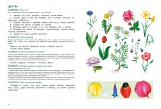 Развитие речи. Уроки с логопедом фото книги 4