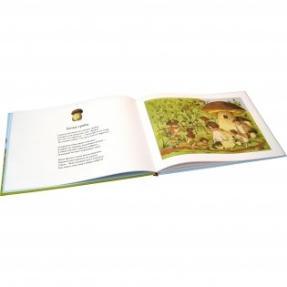 В гостях у грибного народца фото книги 3