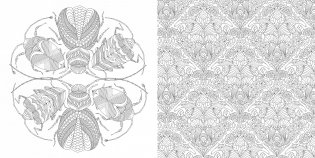 Божественные создания. Золотая коллекция любимых иллюстраций фото книги 7