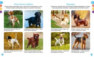 Любимые питомцы фото книги 5