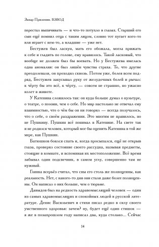 Взвод. Офицеры и ополченцы русской литературы фото книги 15