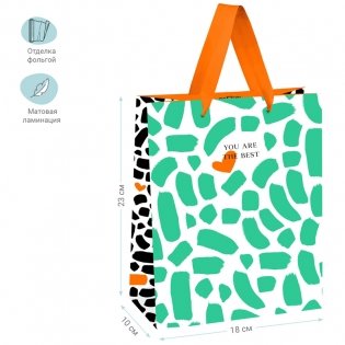 Пакет подарочный 18х23х10 см MESHU "Green strokes", отд. фольгой, матовая ламинация. Арт. MS_45760 фото книги 2