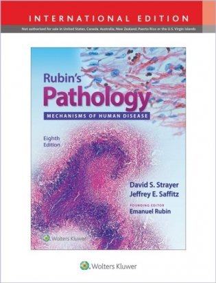 Rubin&apos;s Pathology: Mechanisms of Human Disease 8 Ed. IE фото книги