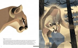 Животные Севера фото книги 5