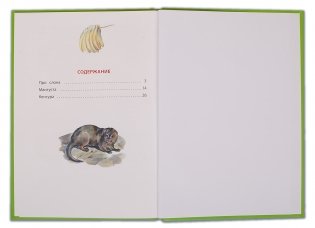 Про слона фото книги 2