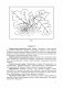 Конспекты подгрупповых логопедических занятий в старшей группе детского сада для детей с ОНР фото книги маленькое 5