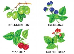 Что в моей корзинке (овощи, фрукты, ягоды, грибы) фото книги 4