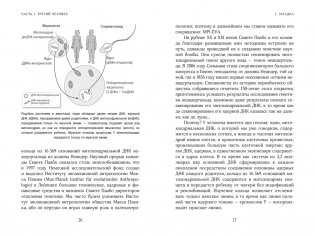 Загадка Денисовского человека. Потерянное звено в истории человечества фото книги 9