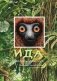 Ида. Взгляд из прошлого фото книги маленькое 2