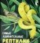 Самые удивительные рептилии фото книги маленькое 2