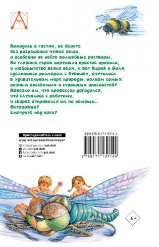 Необыкновенные приключения Карика и Вали фото книги 2