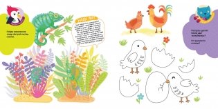 Маленькие чудеса большого мира фото книги 6