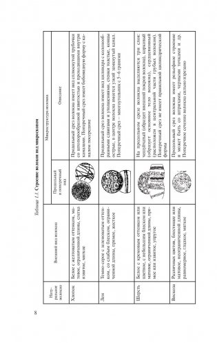 Товароведение. Одежно-обувные товары фото книги 8