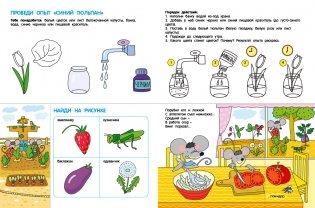 Что растет на грядке? Морковка для мышат фото книги 6