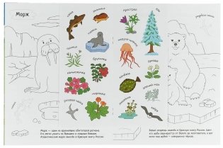 Раскрась Россию. Арктика фото книги 2