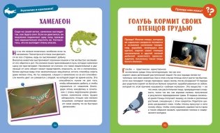 Невероятные животные фото книги 6