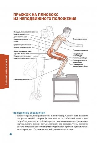 Анатомия плиометрики. Иллюстрированное руководство фото книги 12